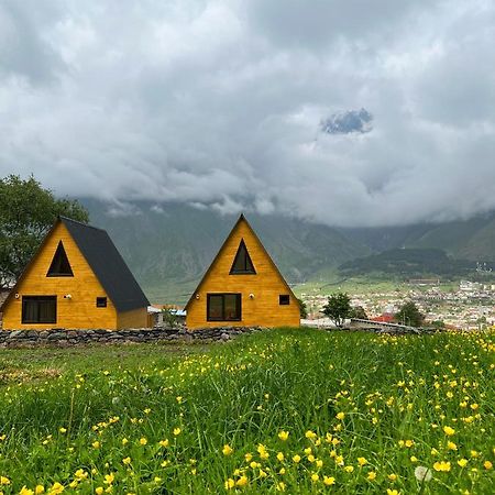Pine Chalet Kazbegi Zewnętrze zdjęcie