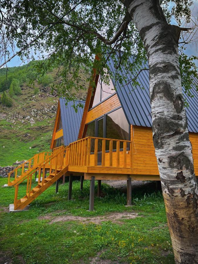 Pine Chalet Kazbegi Zewnętrze zdjęcie