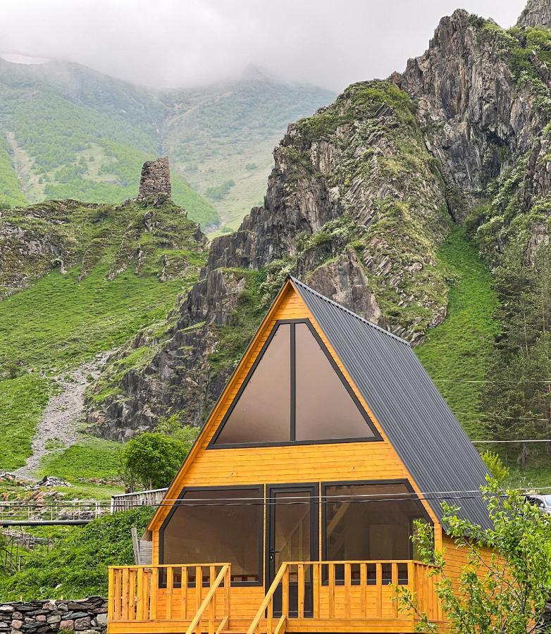 Pine Chalet Kazbegi Zewnętrze zdjęcie