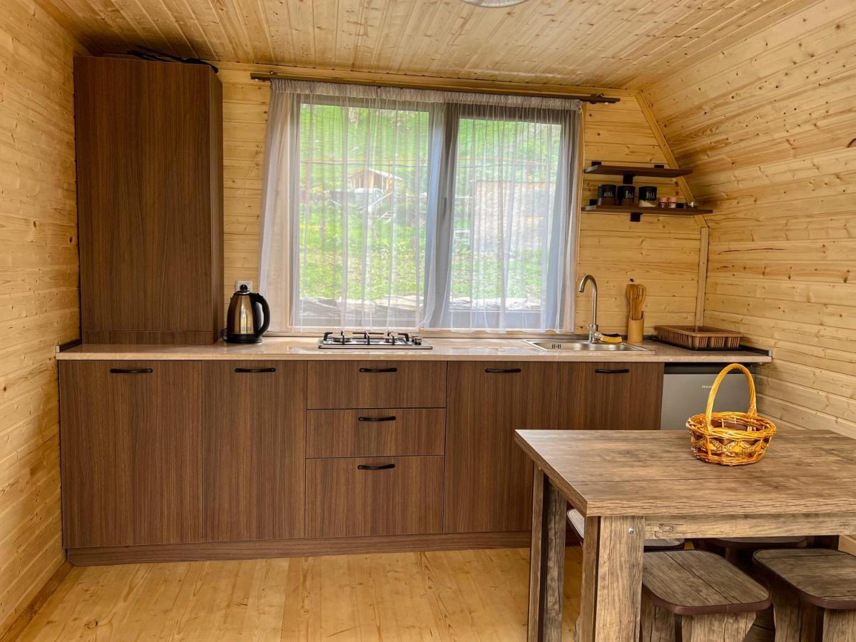 Pine Chalet Kazbegi Zewnętrze zdjęcie