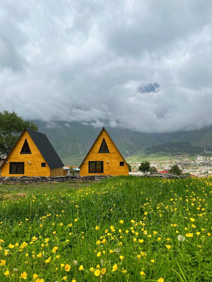 Pine Chalet Kazbegi Zewnętrze zdjęcie