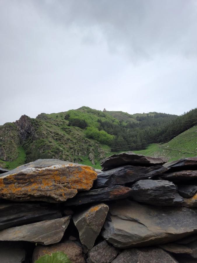 Pine Chalet Kazbegi Zewnętrze zdjęcie