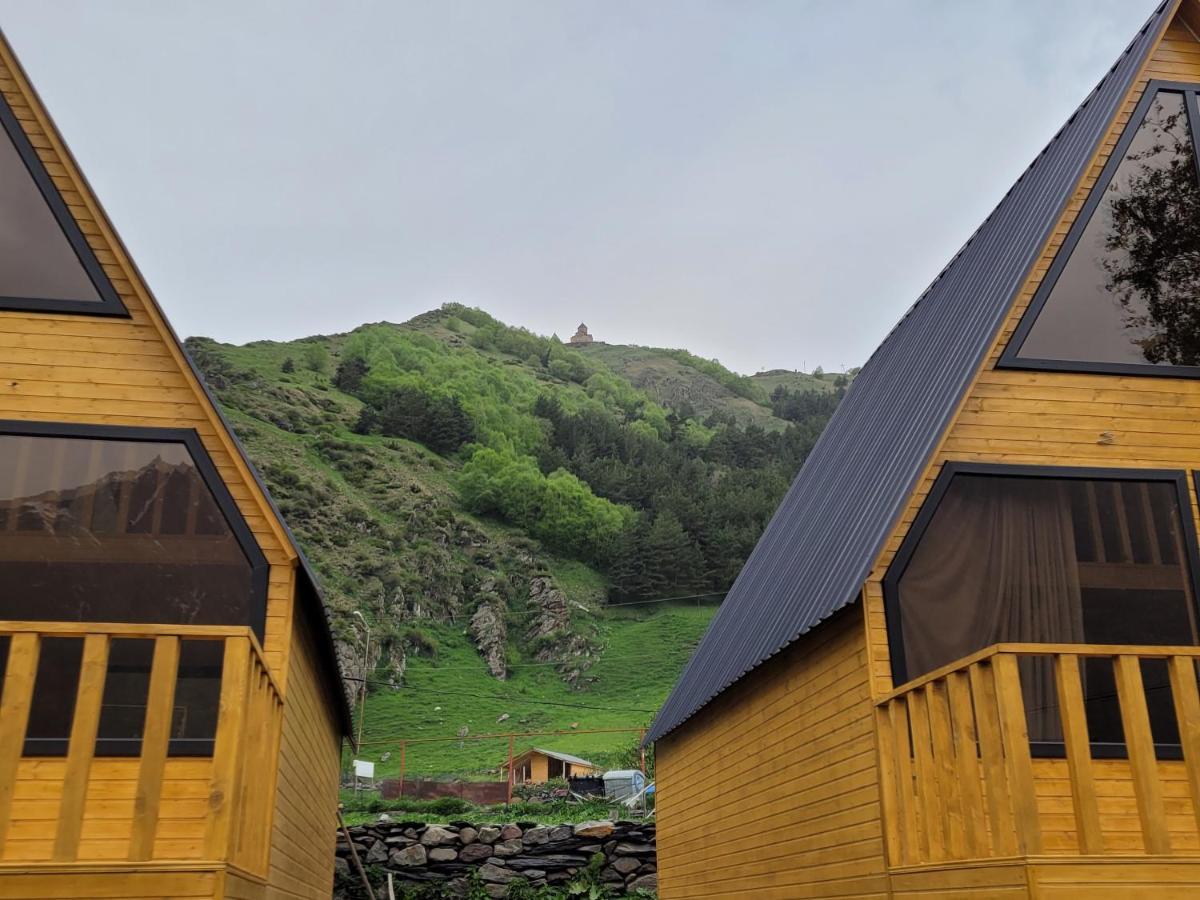 Pine Chalet Kazbegi Zewnętrze zdjęcie