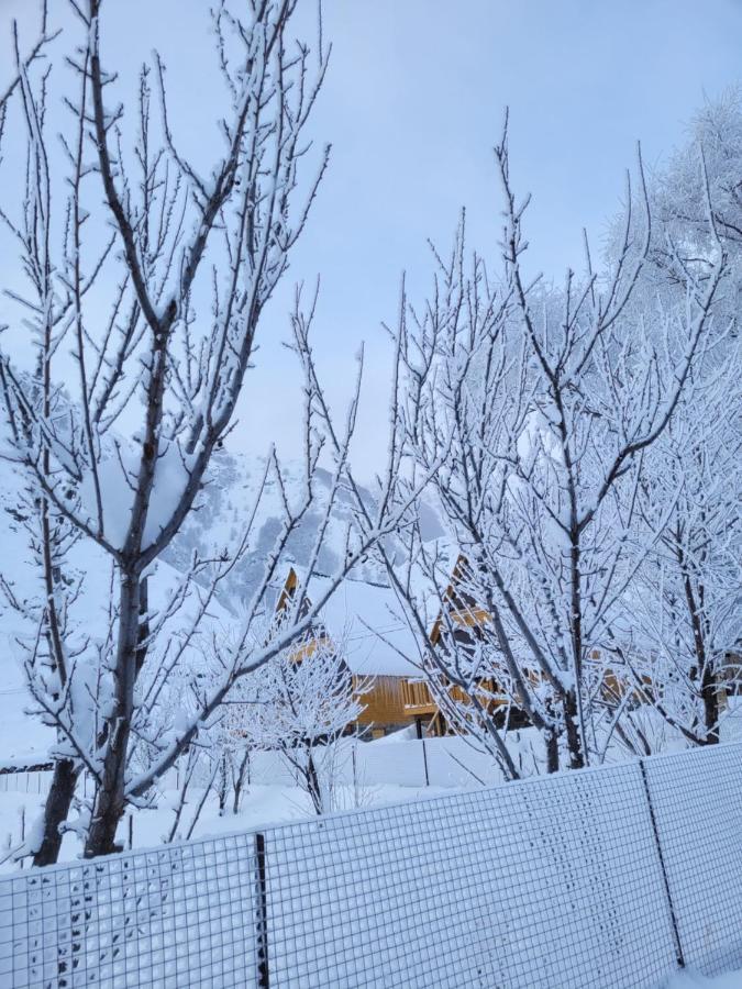 Pine Chalet Kazbegi Zewnętrze zdjęcie