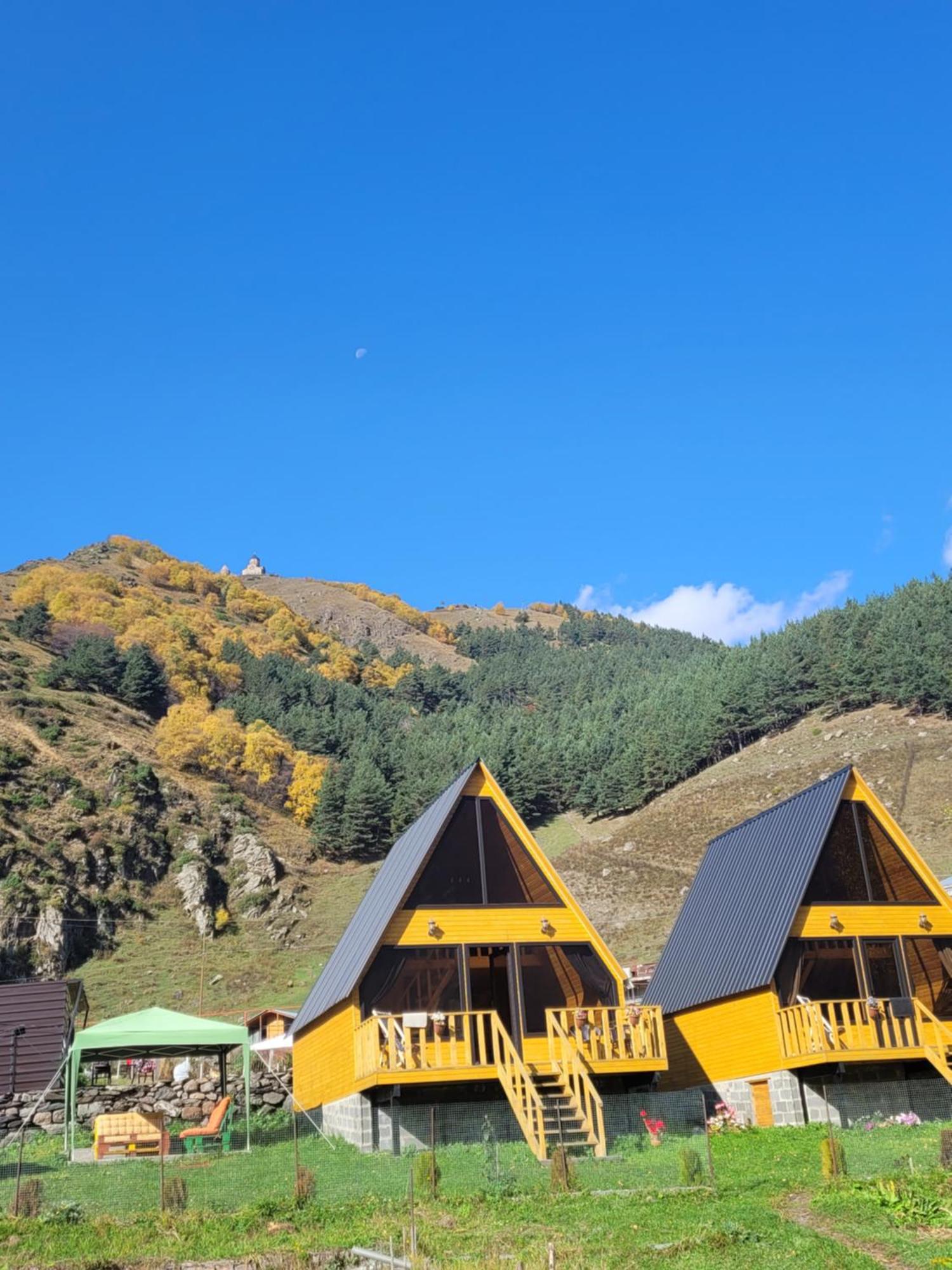Pine Chalet Kazbegi Zewnętrze zdjęcie